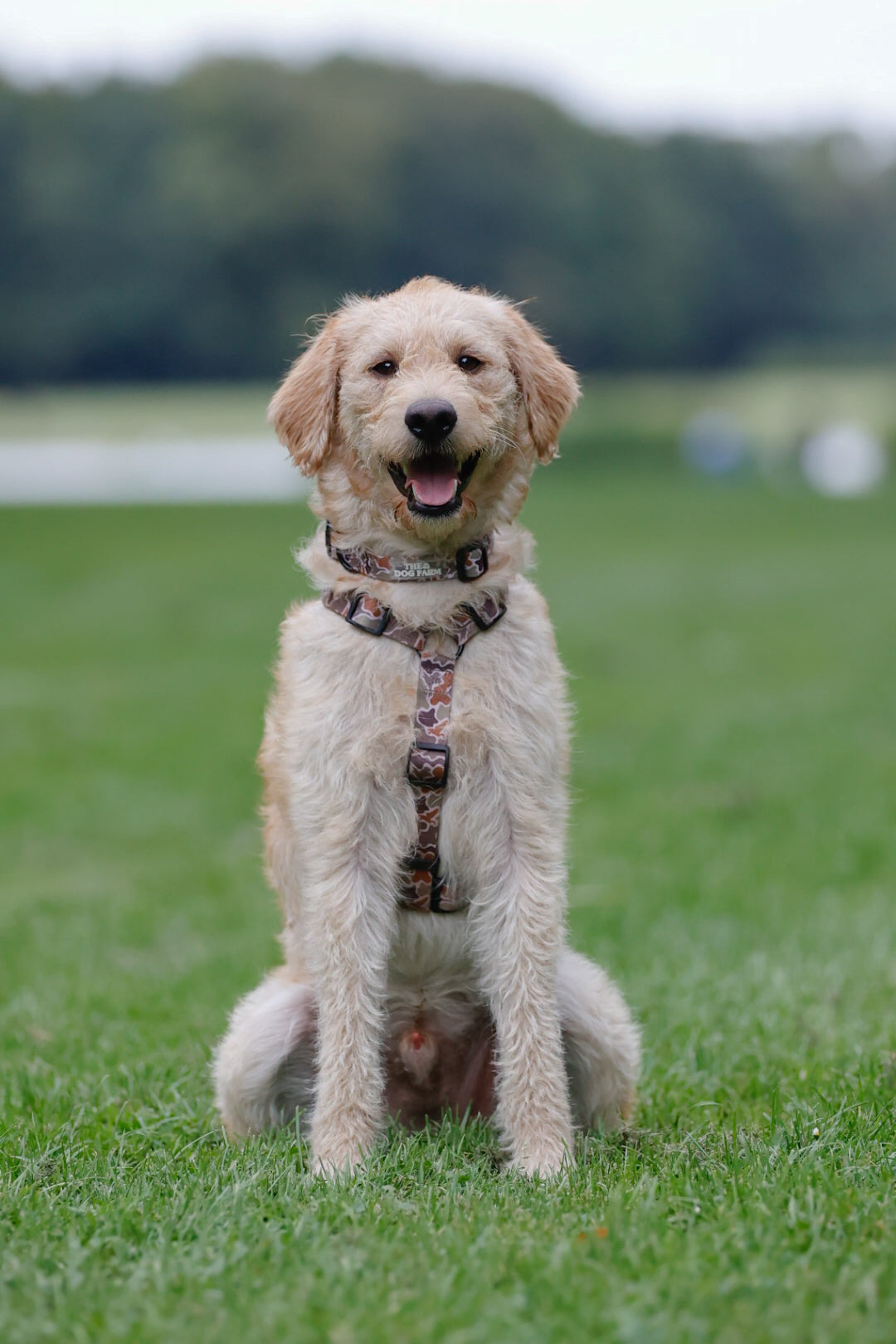 Camouflage Duck Halsband
