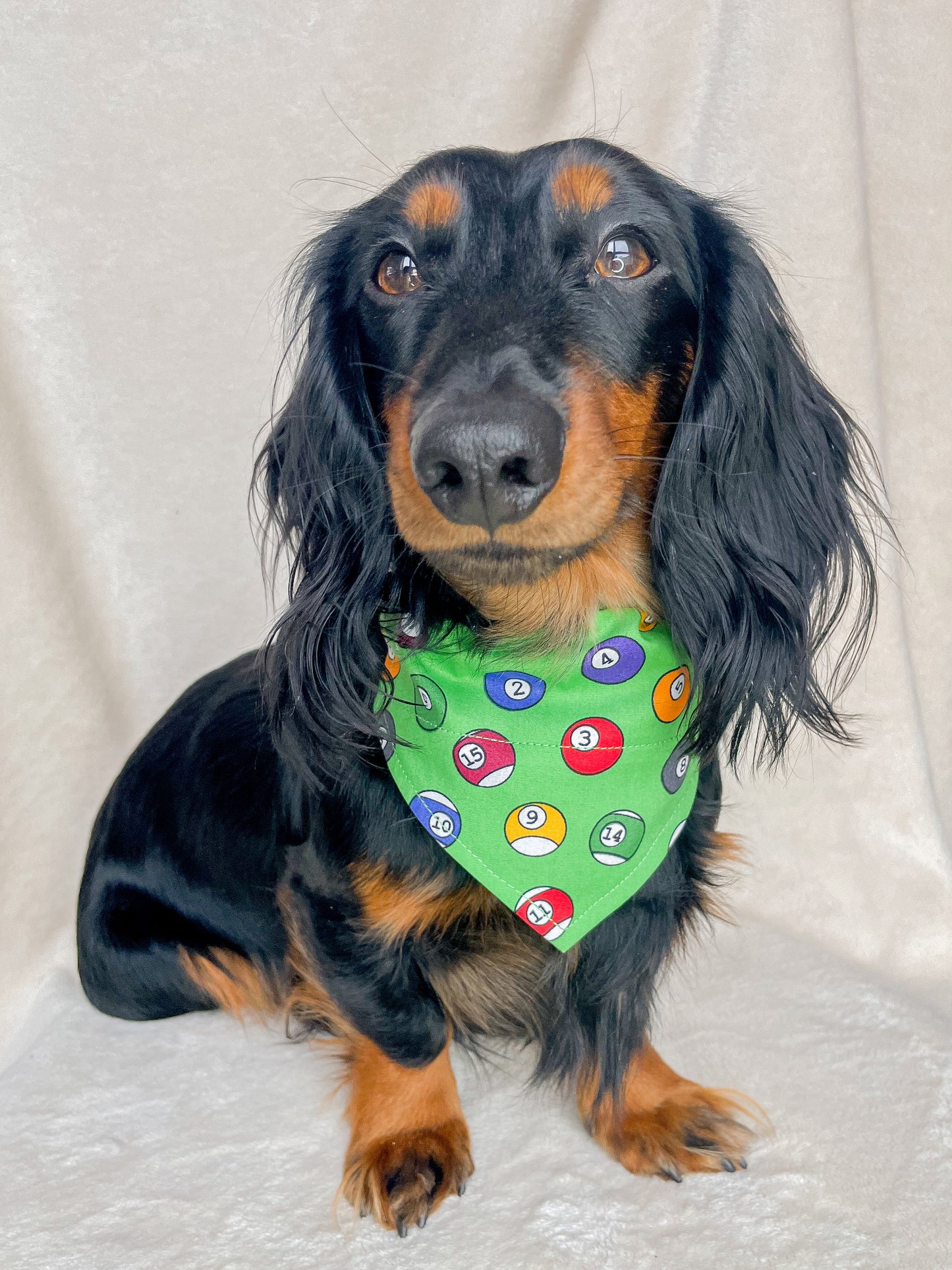 8 Ball Bandana
