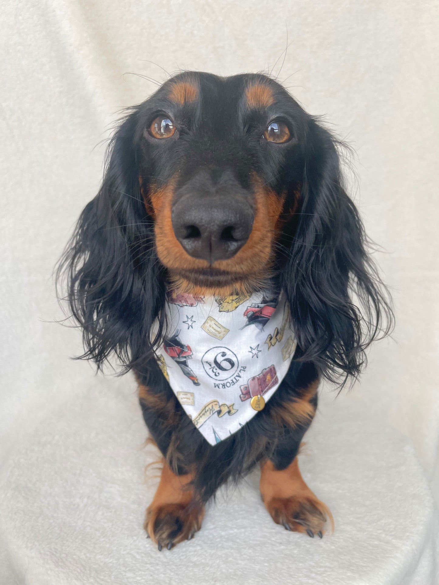Platform 9 3/4 Bandana