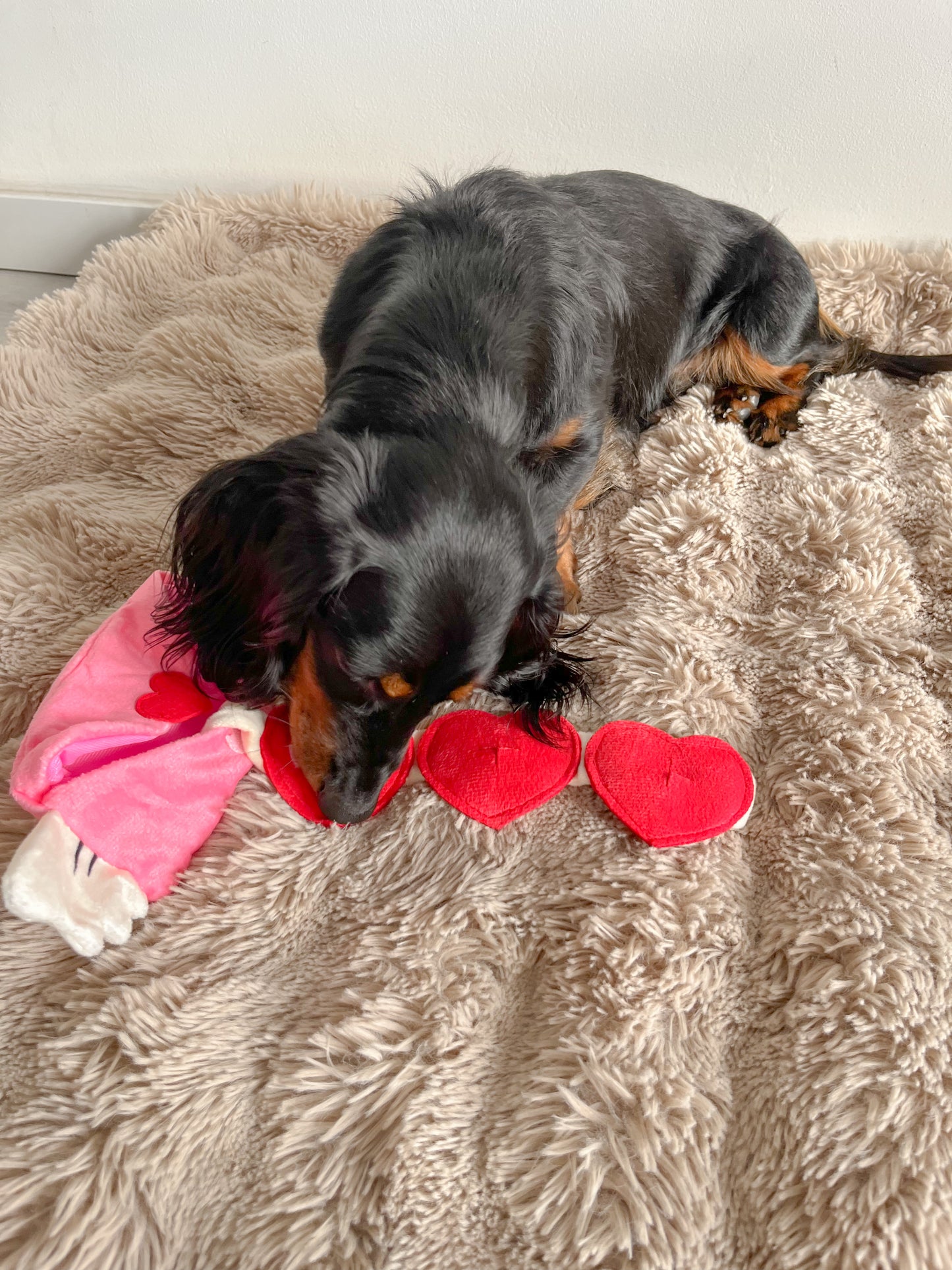 Love Letter Snuffel Mail