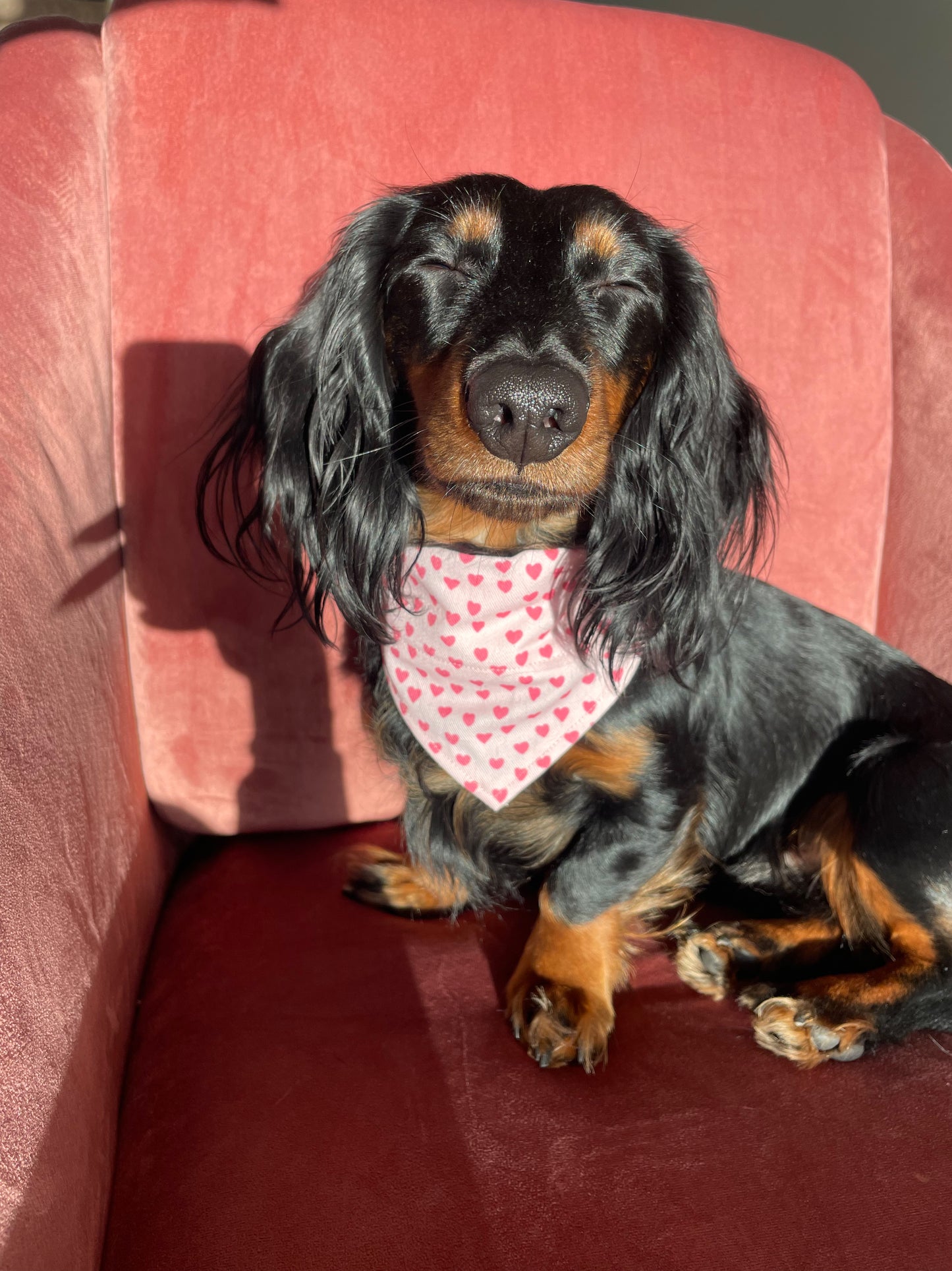 Valentine Bandana
