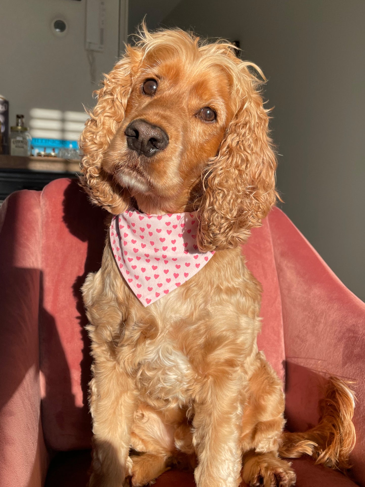 Valentine Bandana