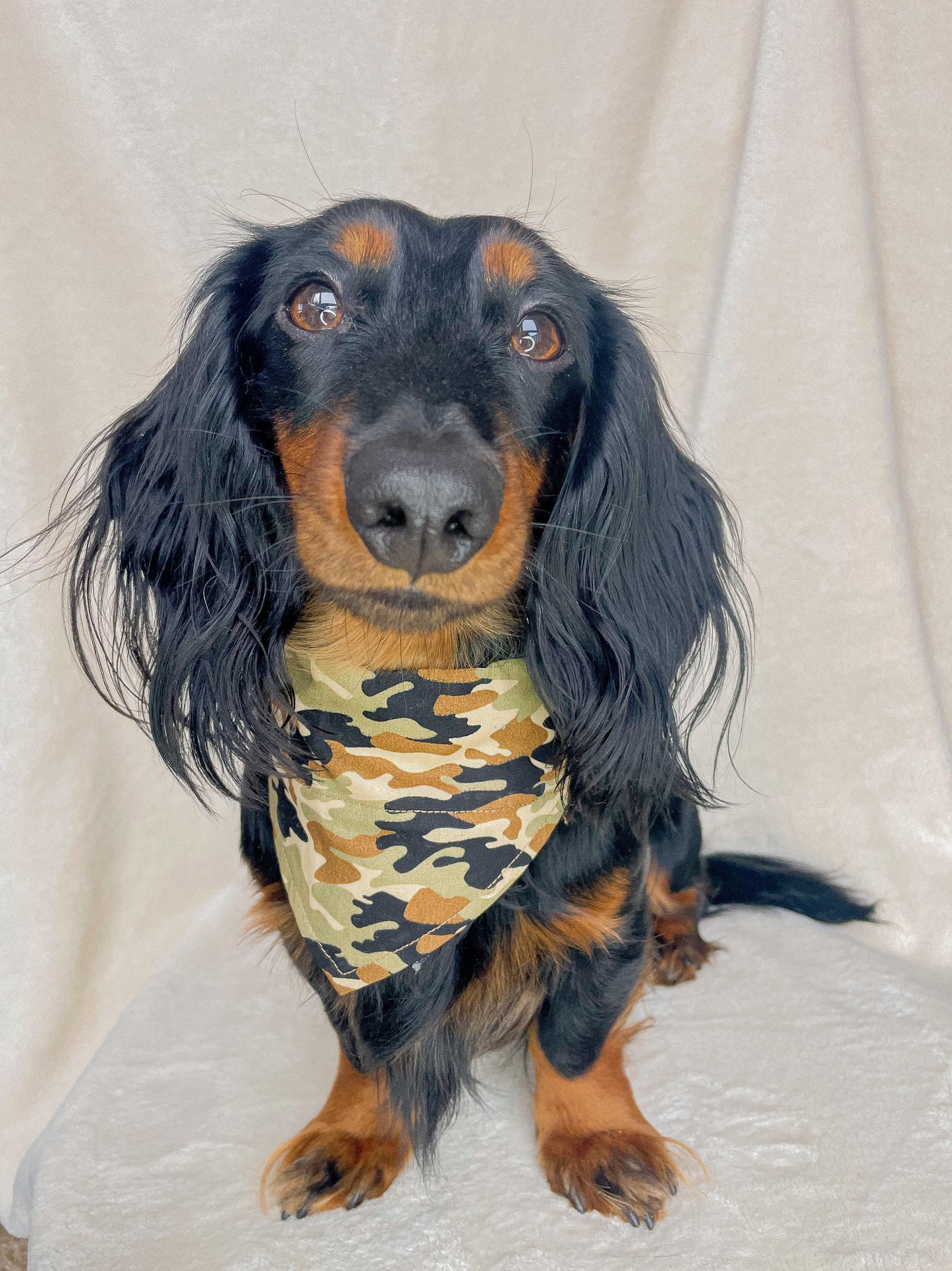 Army Bandana