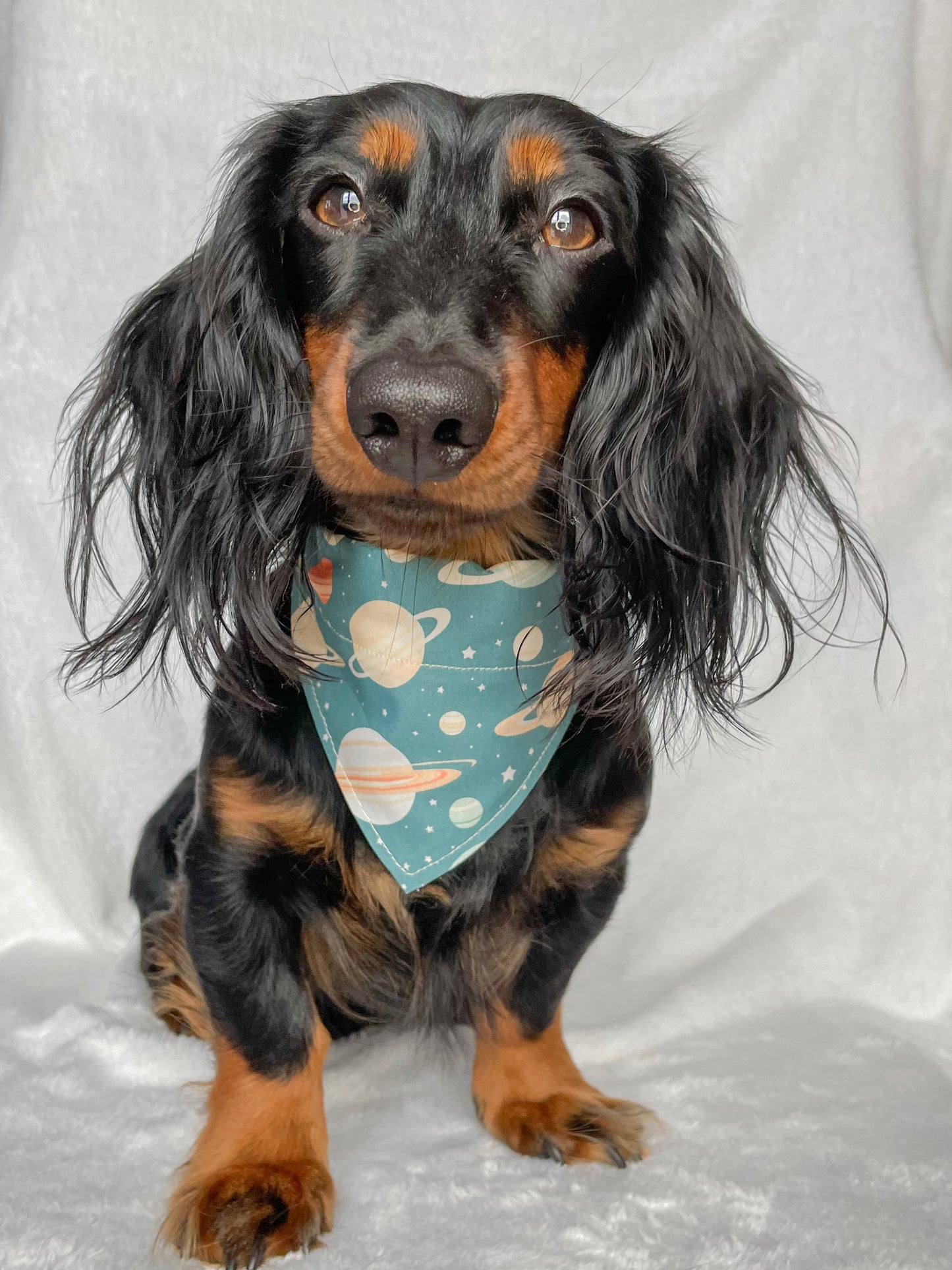 Galaxy Bandana