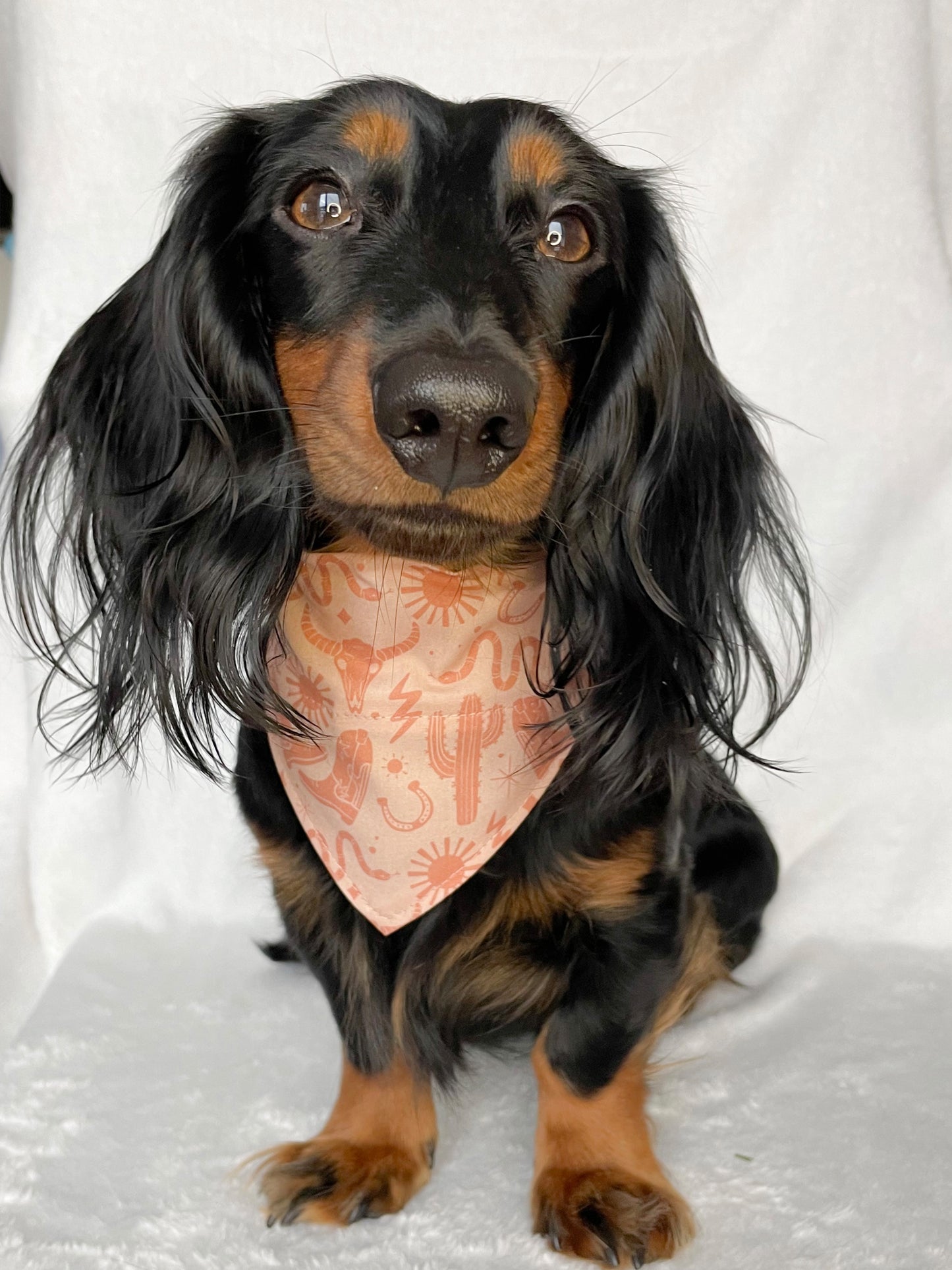 Cowboy Bandana