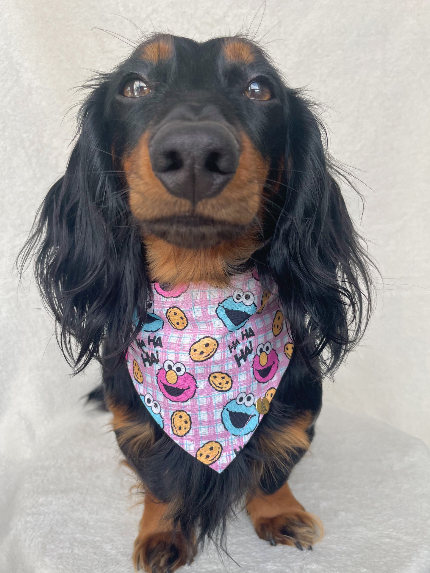 Cookie Monster Bandana