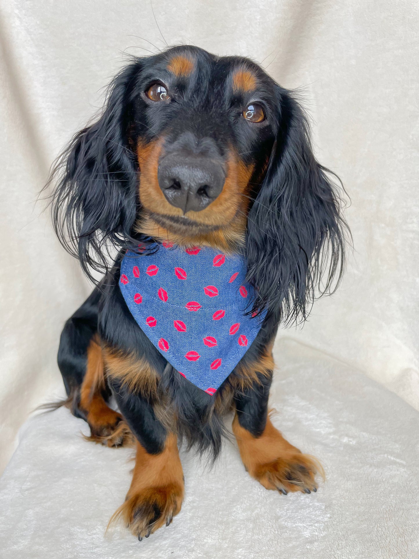 Denim Kiss Bandana