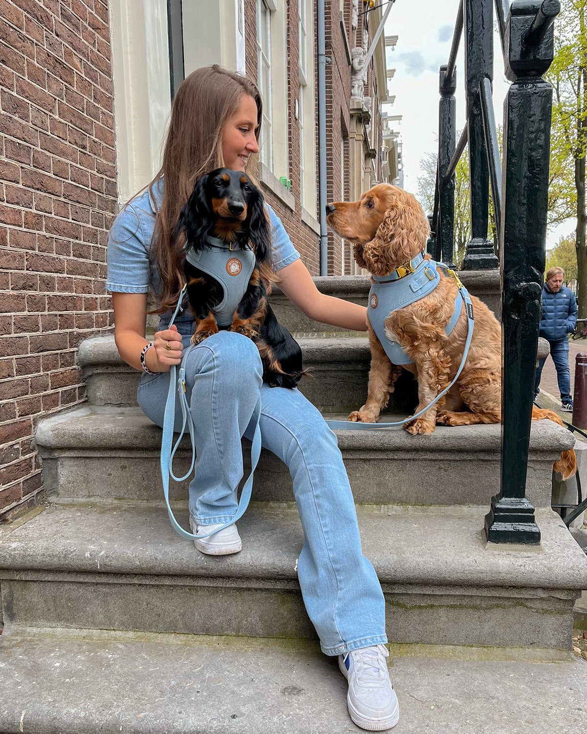 Denim Harnas
