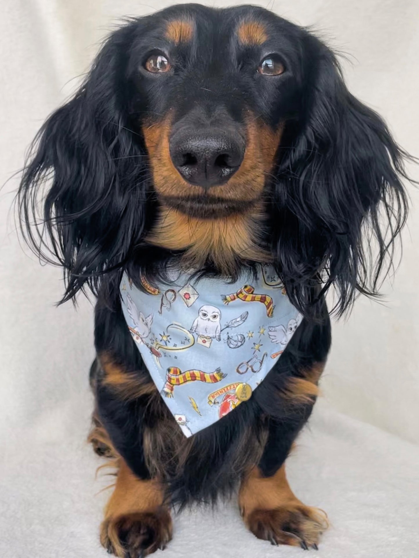 Gryffindor Bandana