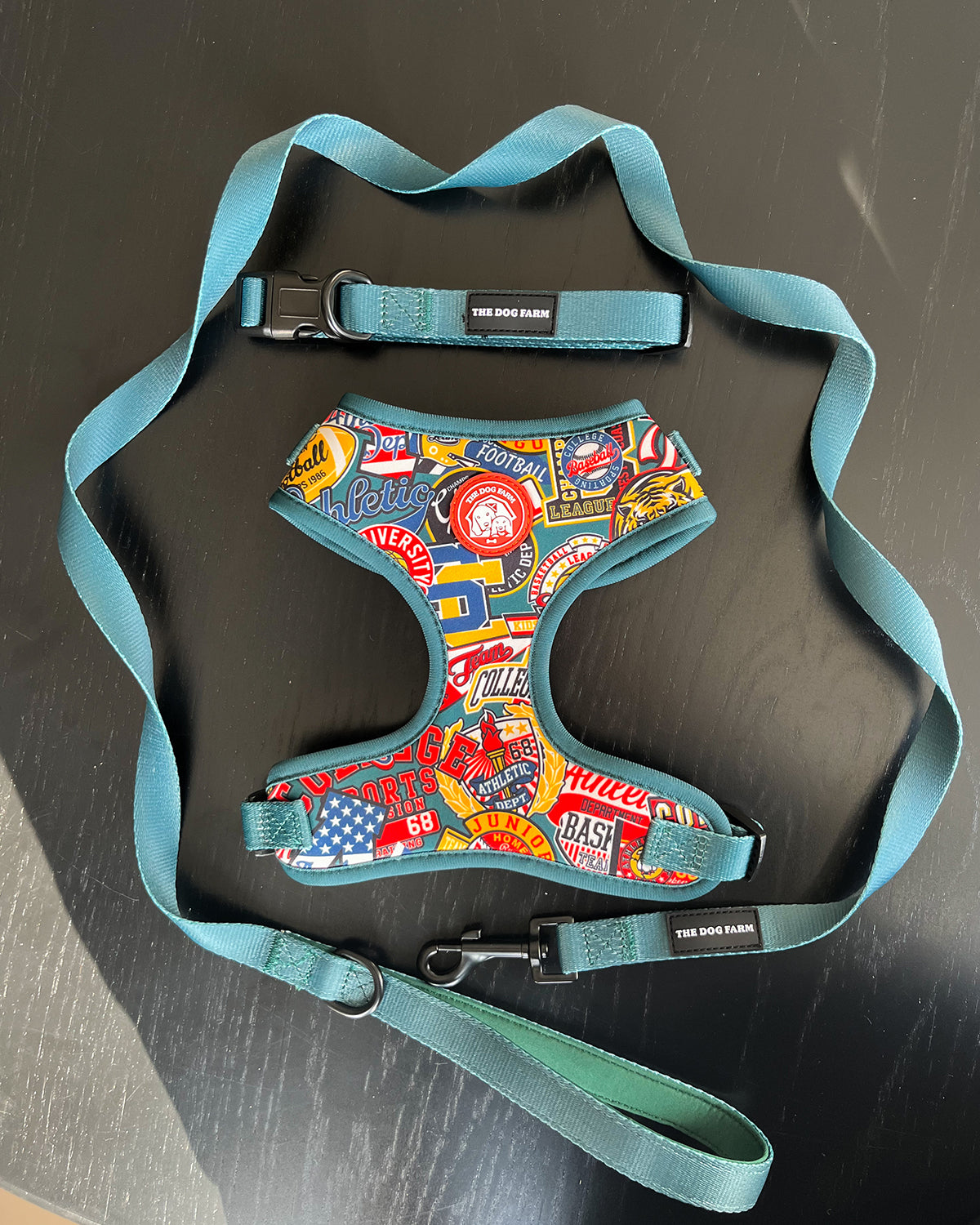High School Belt