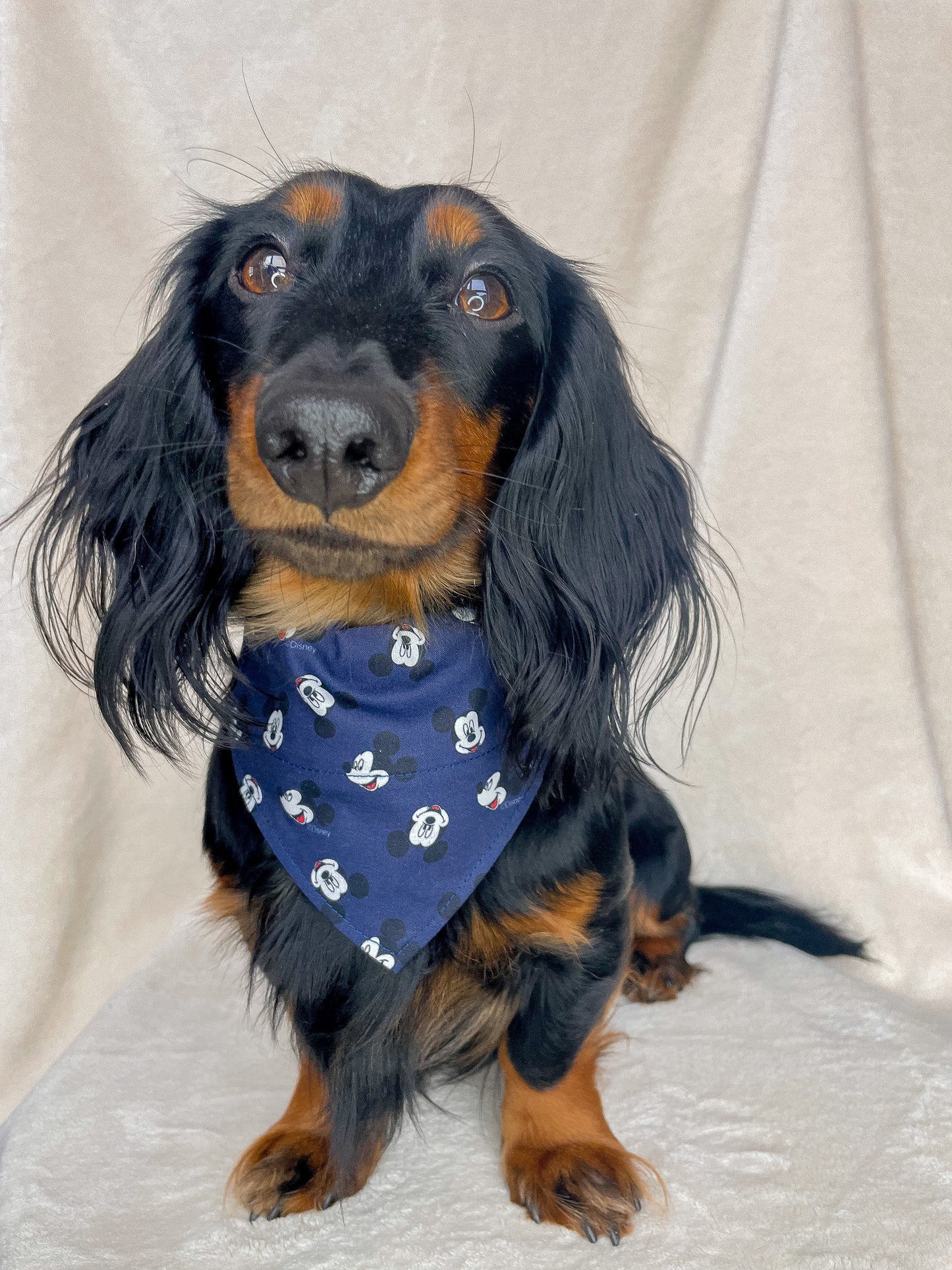 Mickey Bandana