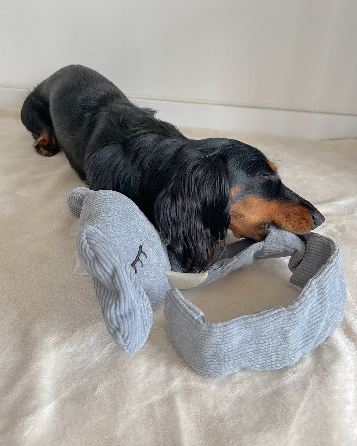 Snuffel Snack Olifant