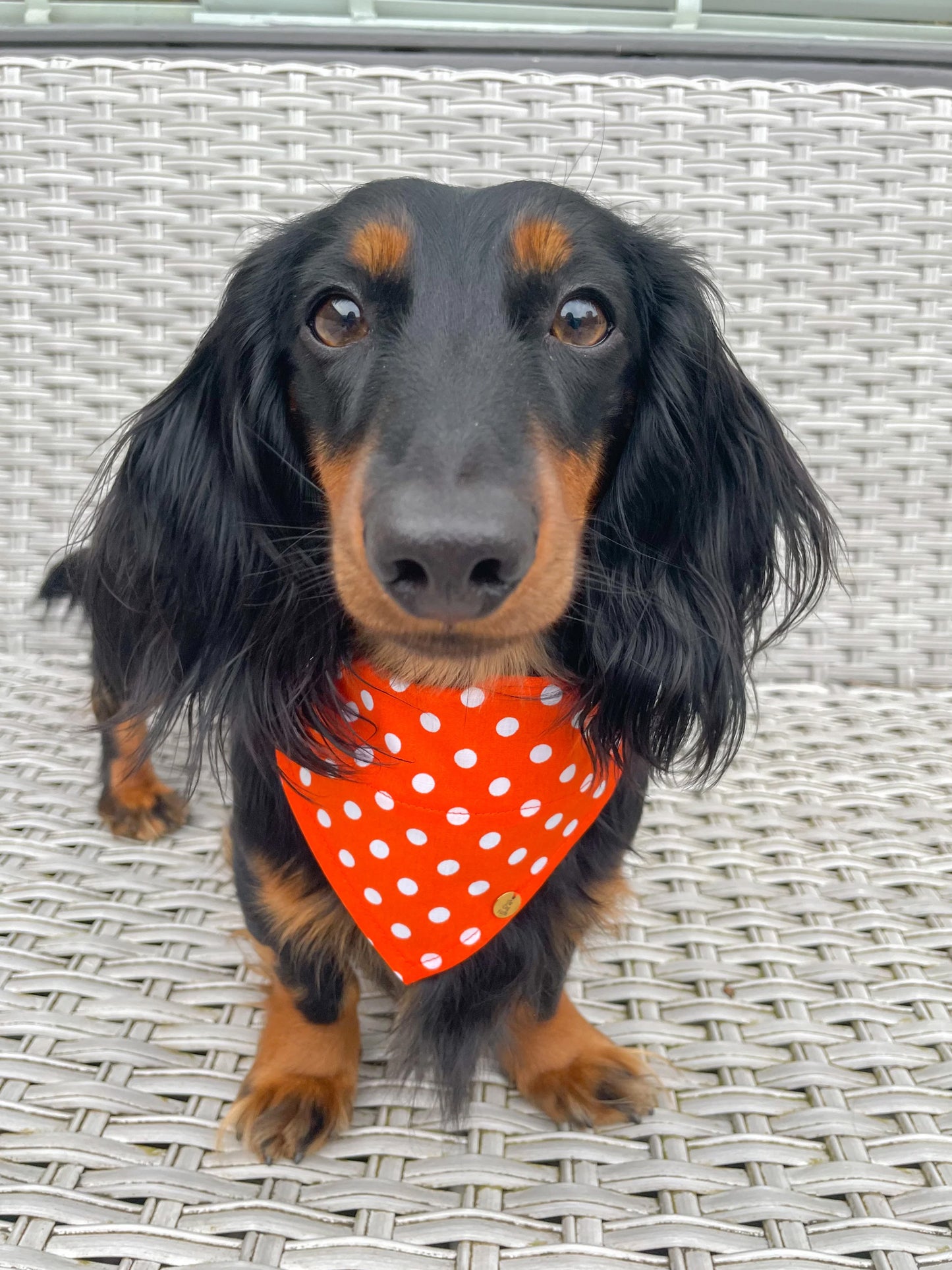 Oranje met Witte Stippen Bandana