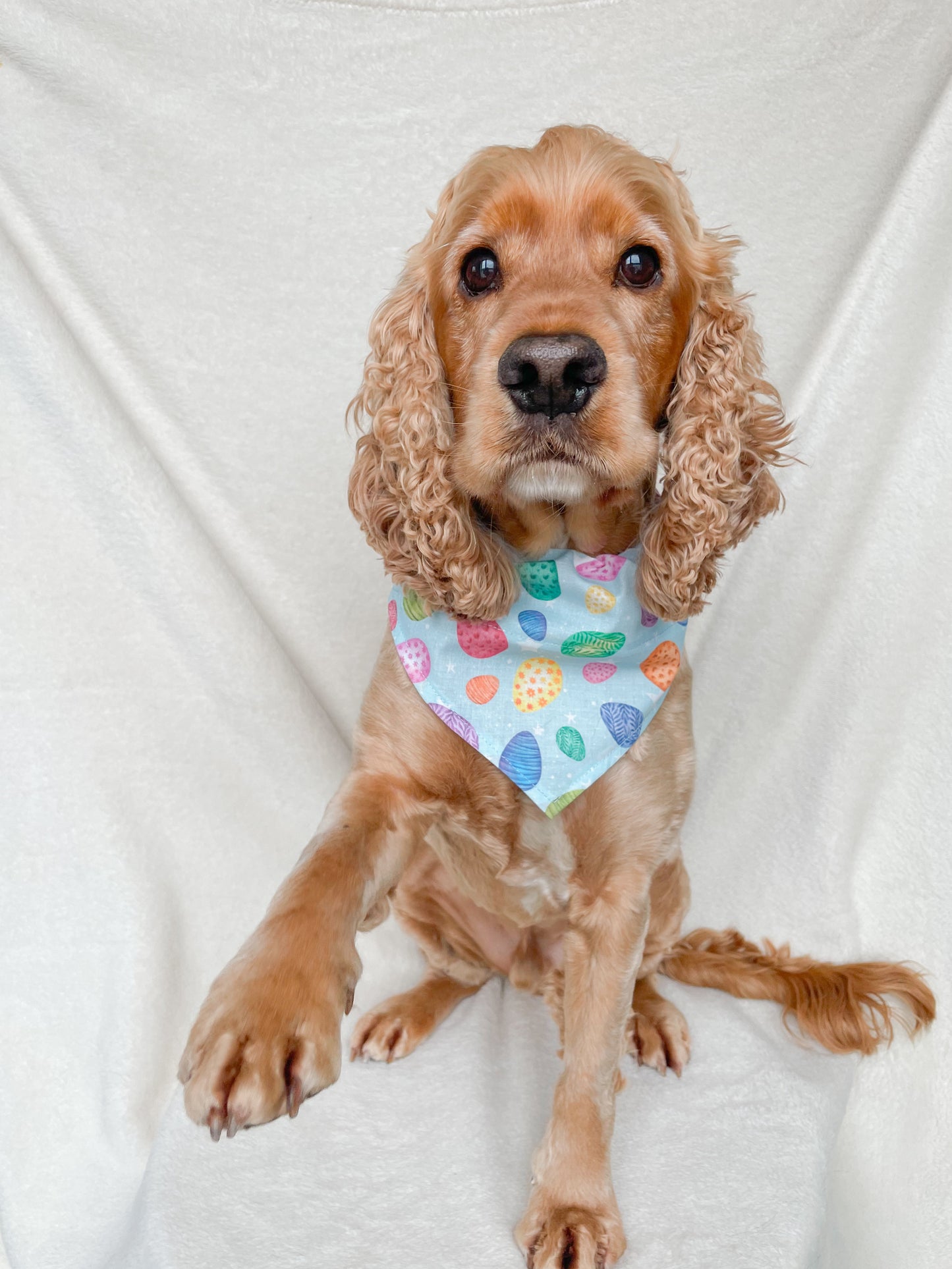 Paas Bandana