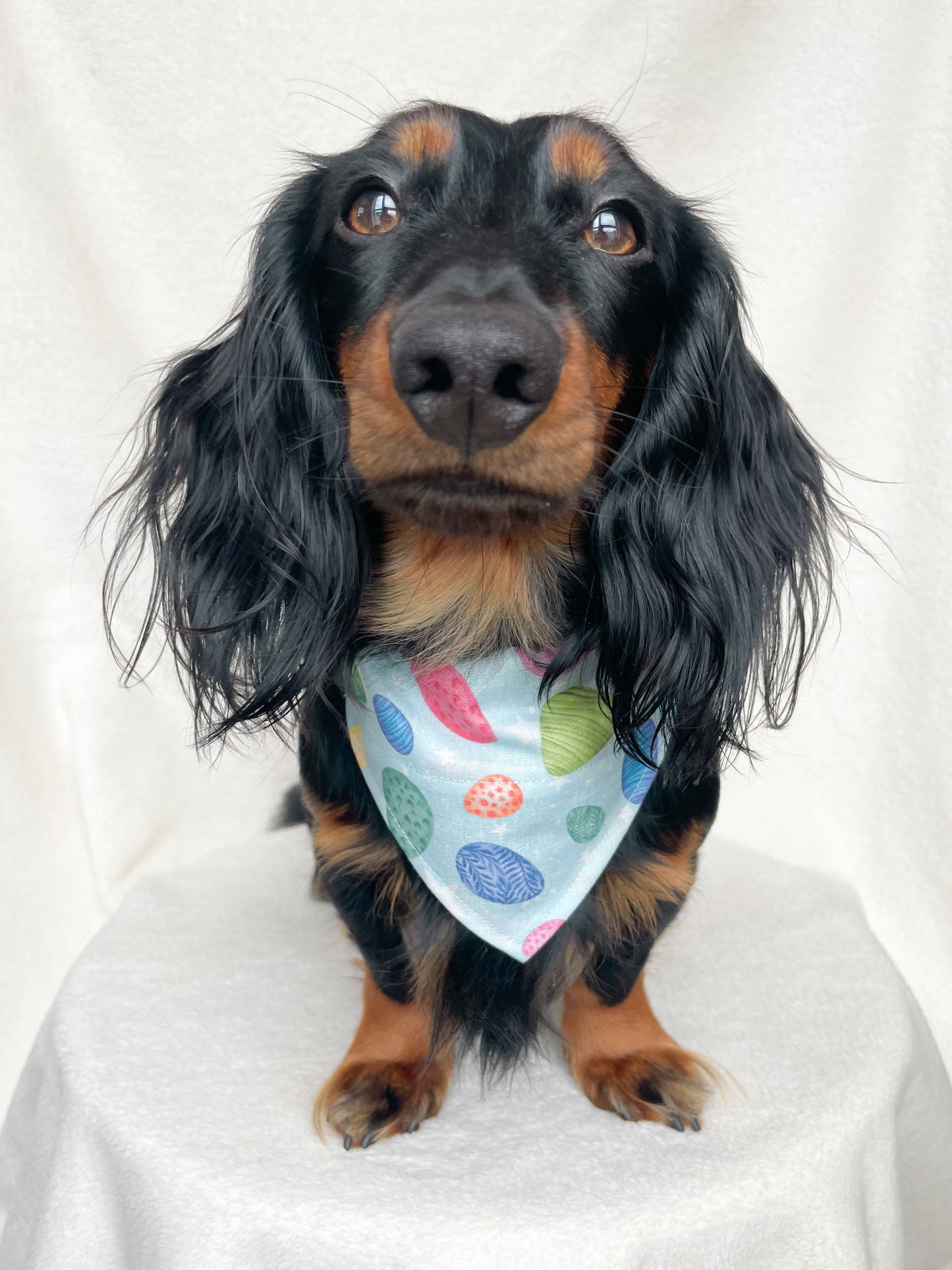 Paas Bandana