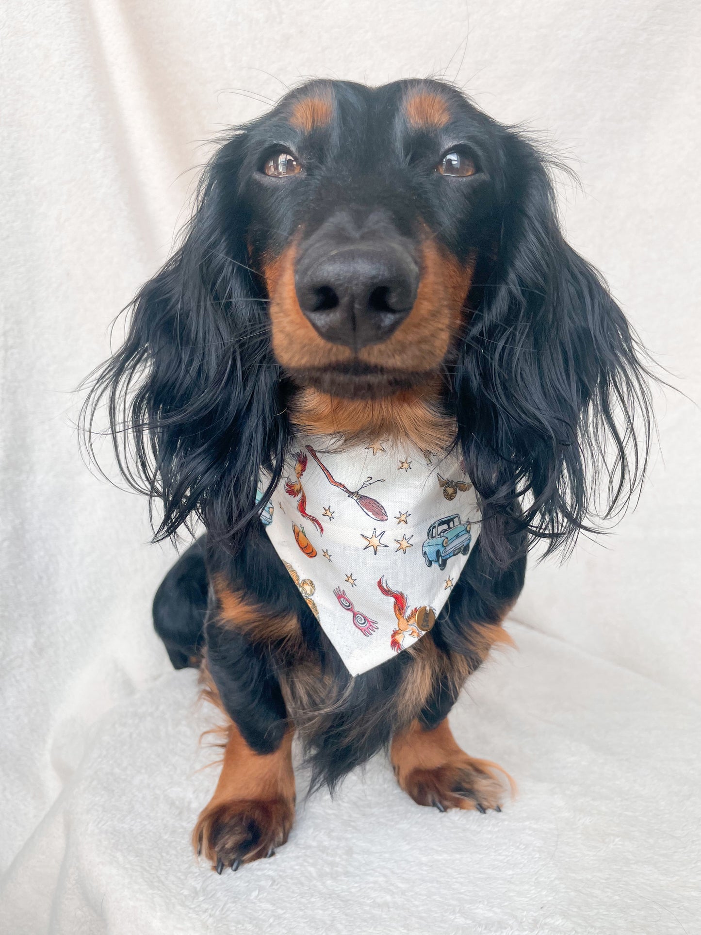 Phoenix Bandana