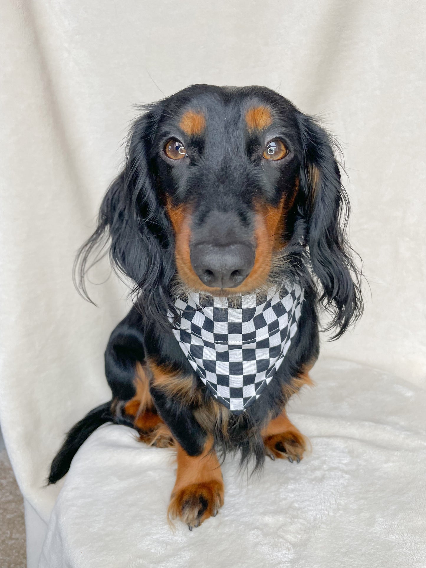 Race Bandana