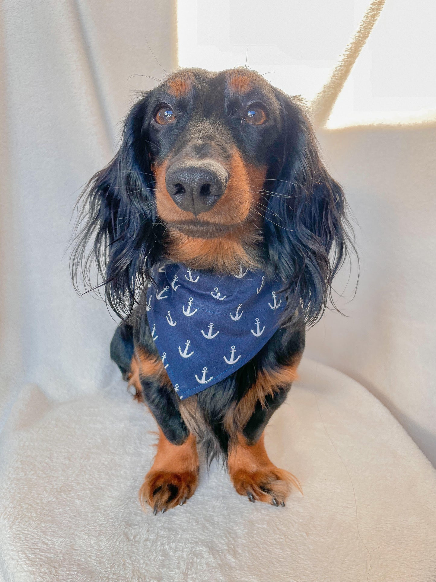 Schippers Bandana