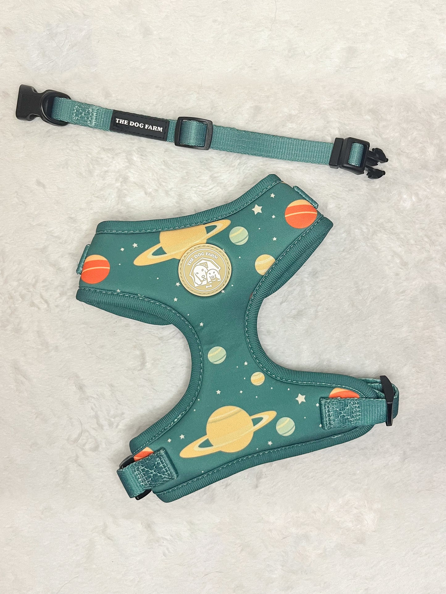 Galaxy Bandana