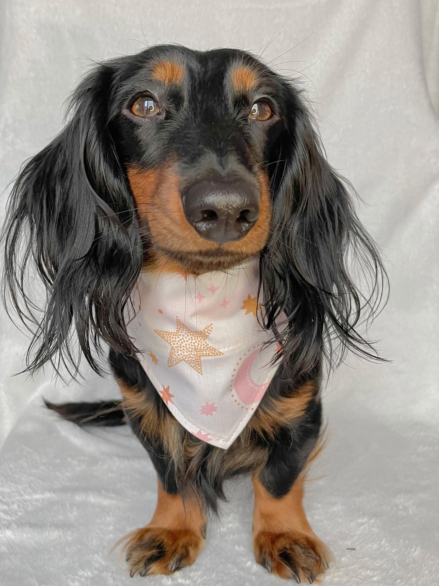 Pink Stars Bandana