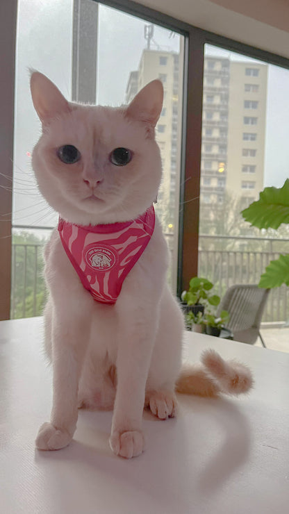 Pink Zebra Harness