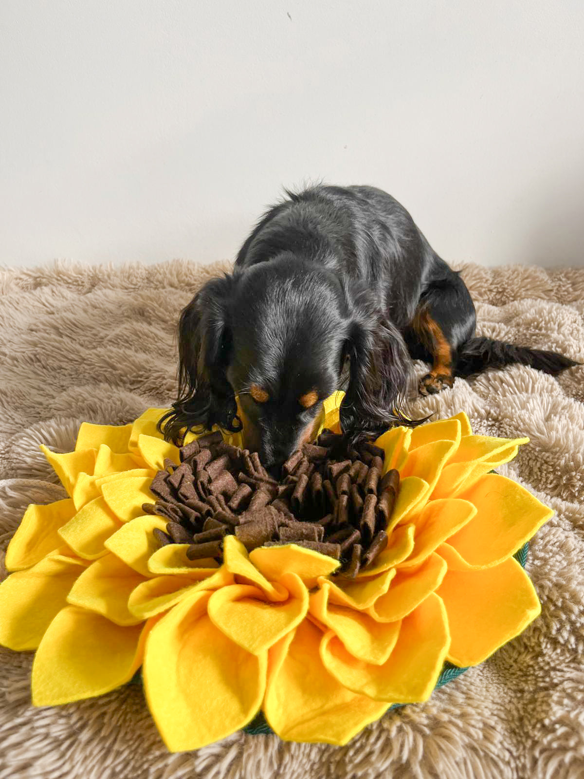 Zonnebloem Snuffelmat