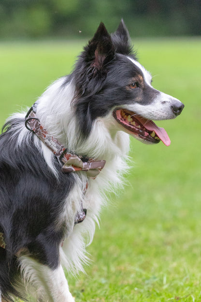Camouflage Duck Halsband
