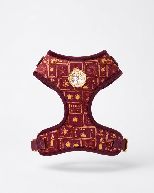 Summer Nights Harness