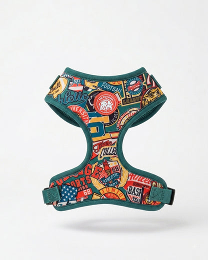 High School Harness
