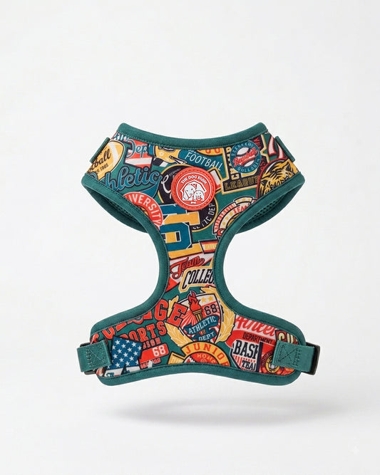 High School Harness