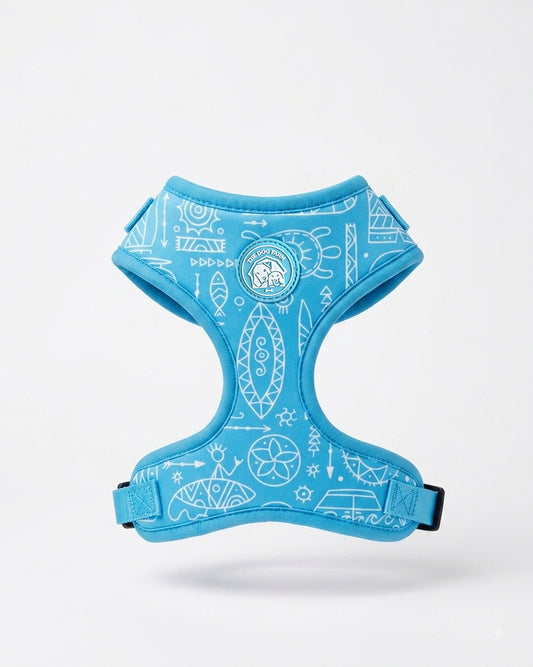 Bora Bora Harness
