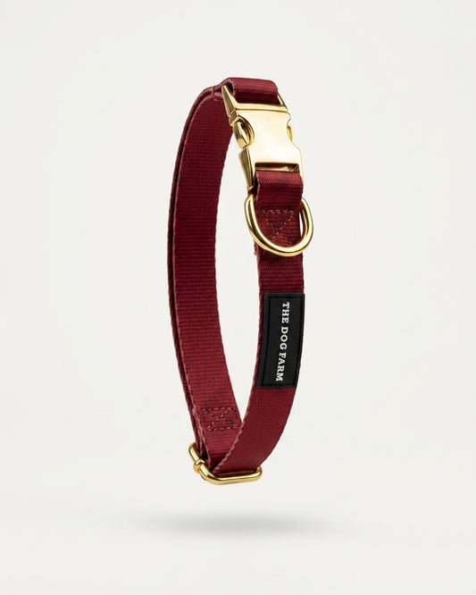 Collier Nuits d'été
