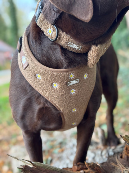 Cozy Flower Halsband