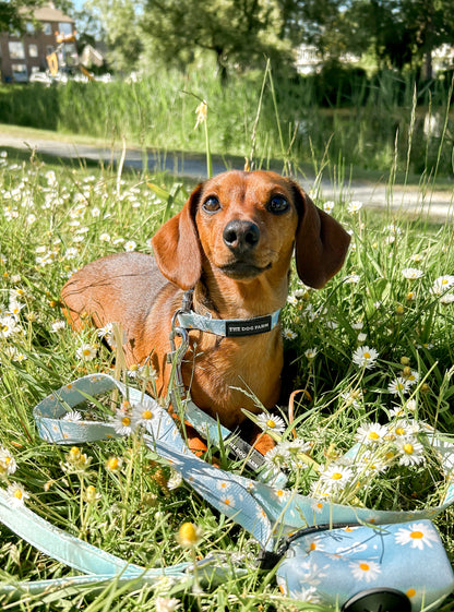 Spring Flowers Halsband