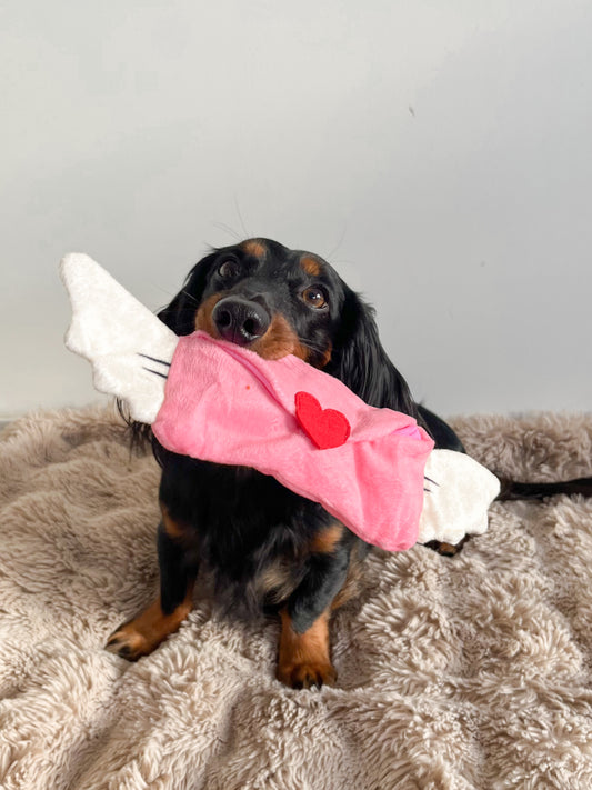 Love Letter Snuffel Mail