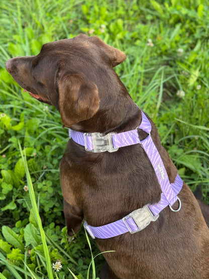 Lila Zebra Strap Harnas