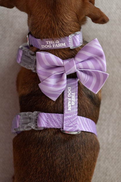 Lila Zebra Strap Harnas