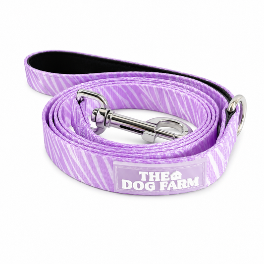 Lila Zebra Riem