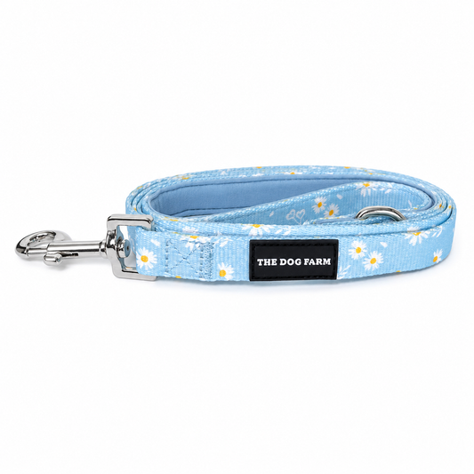 Spring Flowers Belt