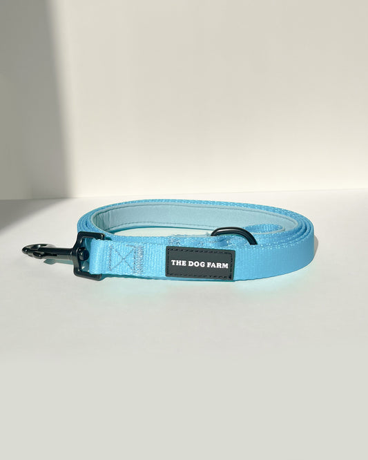 Bora Bora Belt