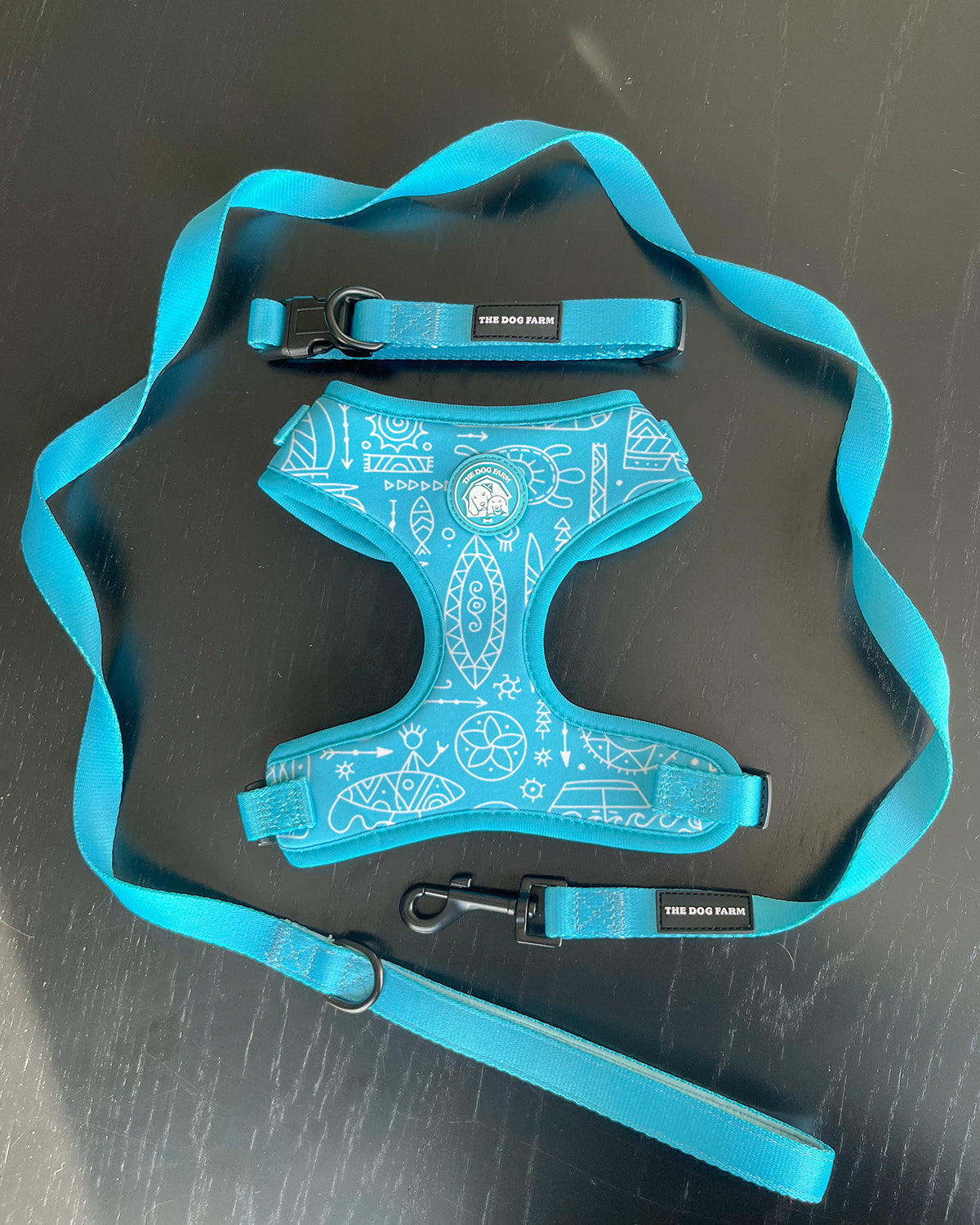 Bora Bora Belt