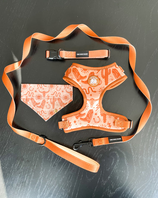 Ceinture marron (cowboy)