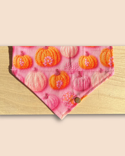 My Pumpkin Bandana