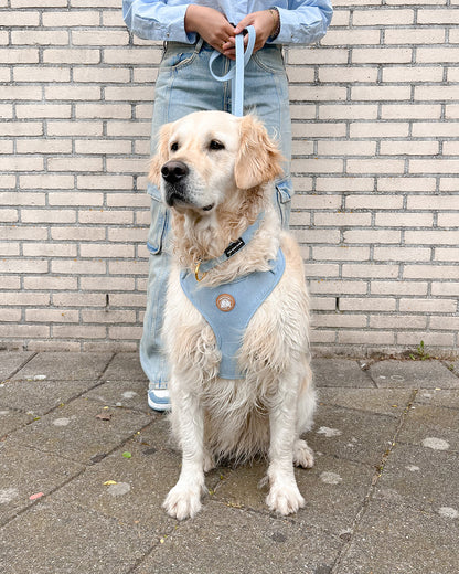 Denim Harness