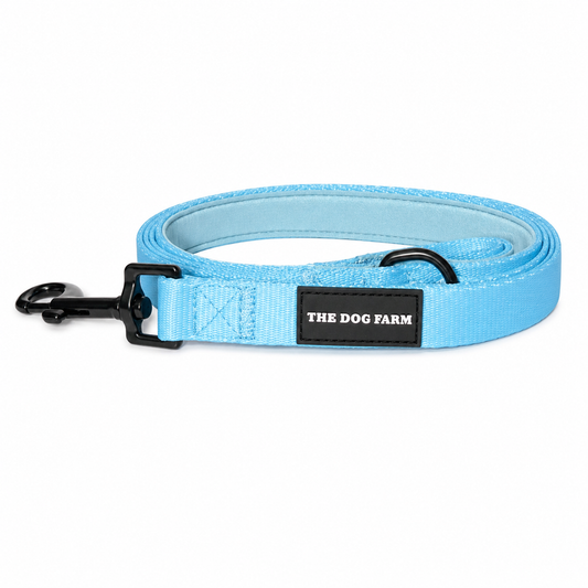 Bora Bora Belt