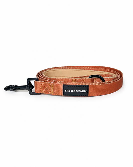 Brown (Cowboy) Belt