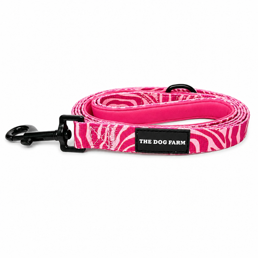 Pink Zebra Belt
