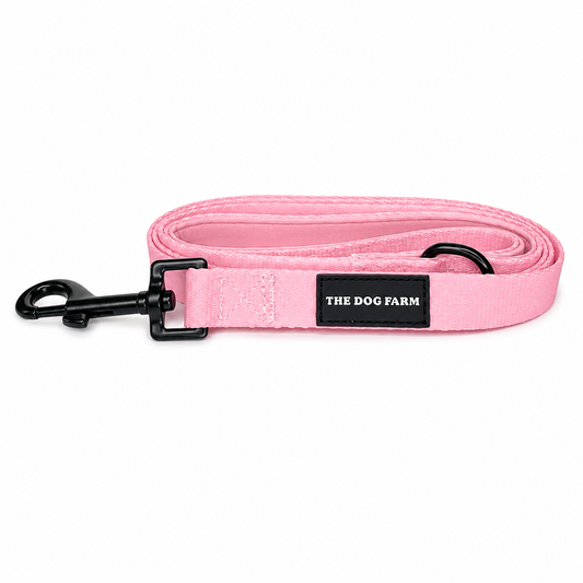 Pink Belt