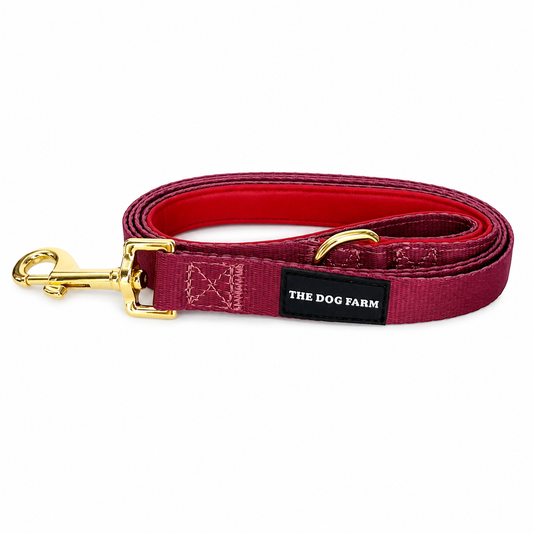 Summer Nights Belt