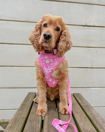 Pink Hawaii Harness